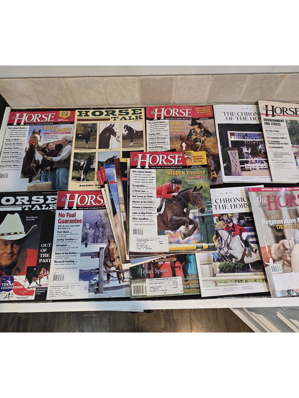 18 Horse Themed Magazines - Horses Equestrian